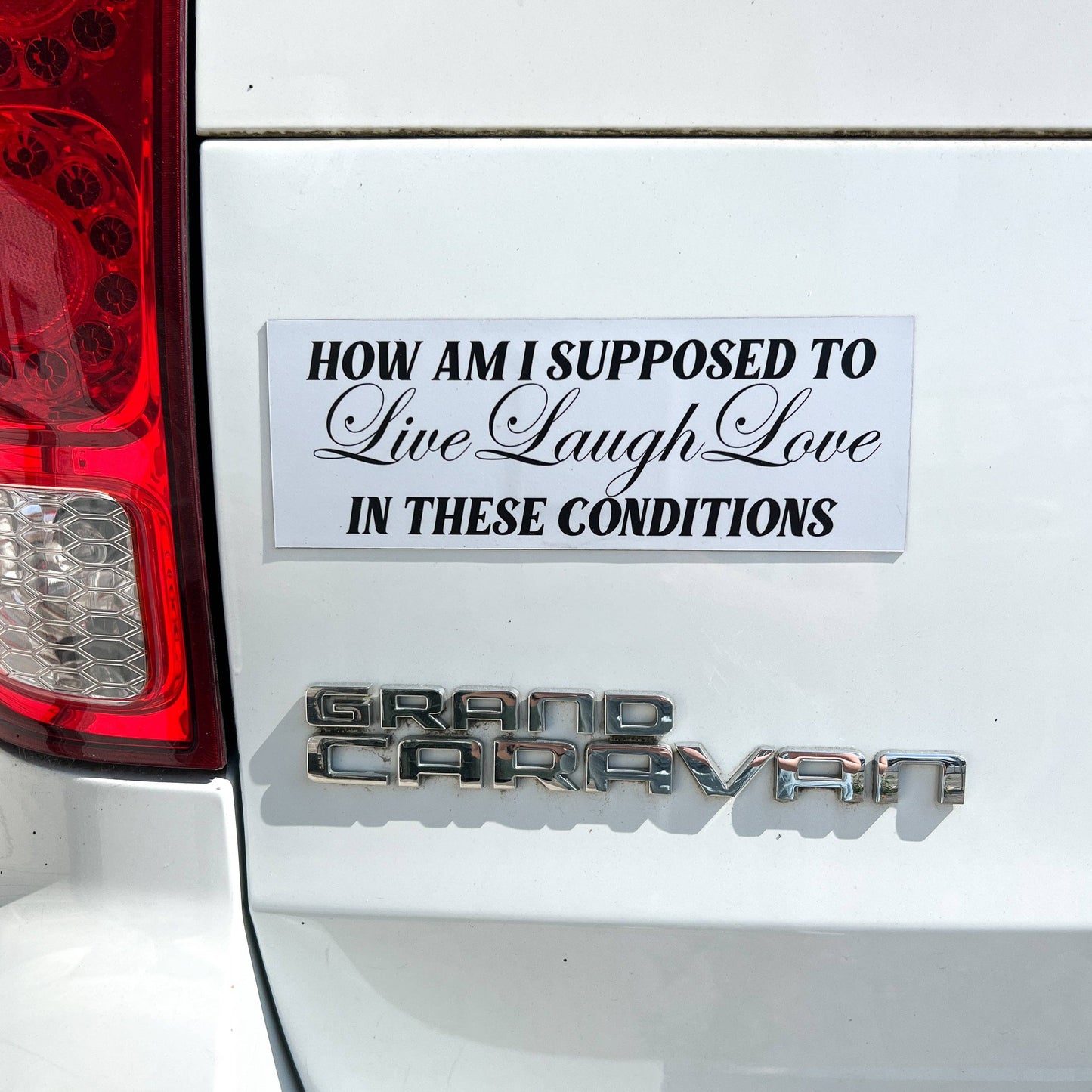 In These Conditions Car Magnet